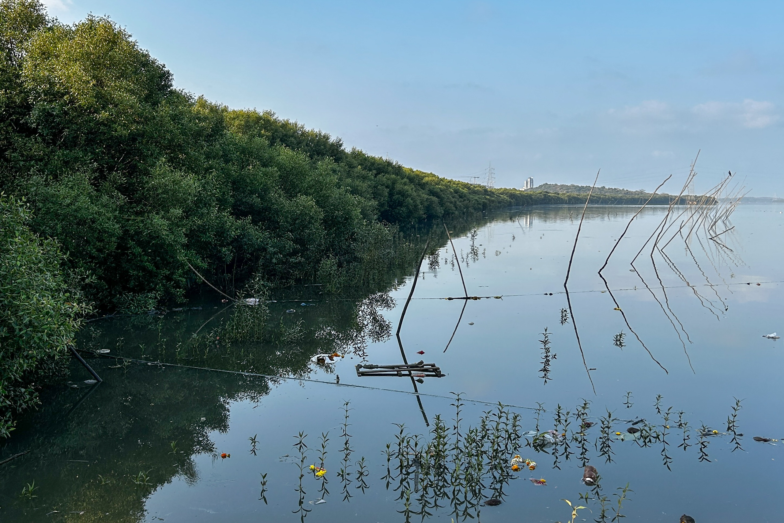 water up to treeline