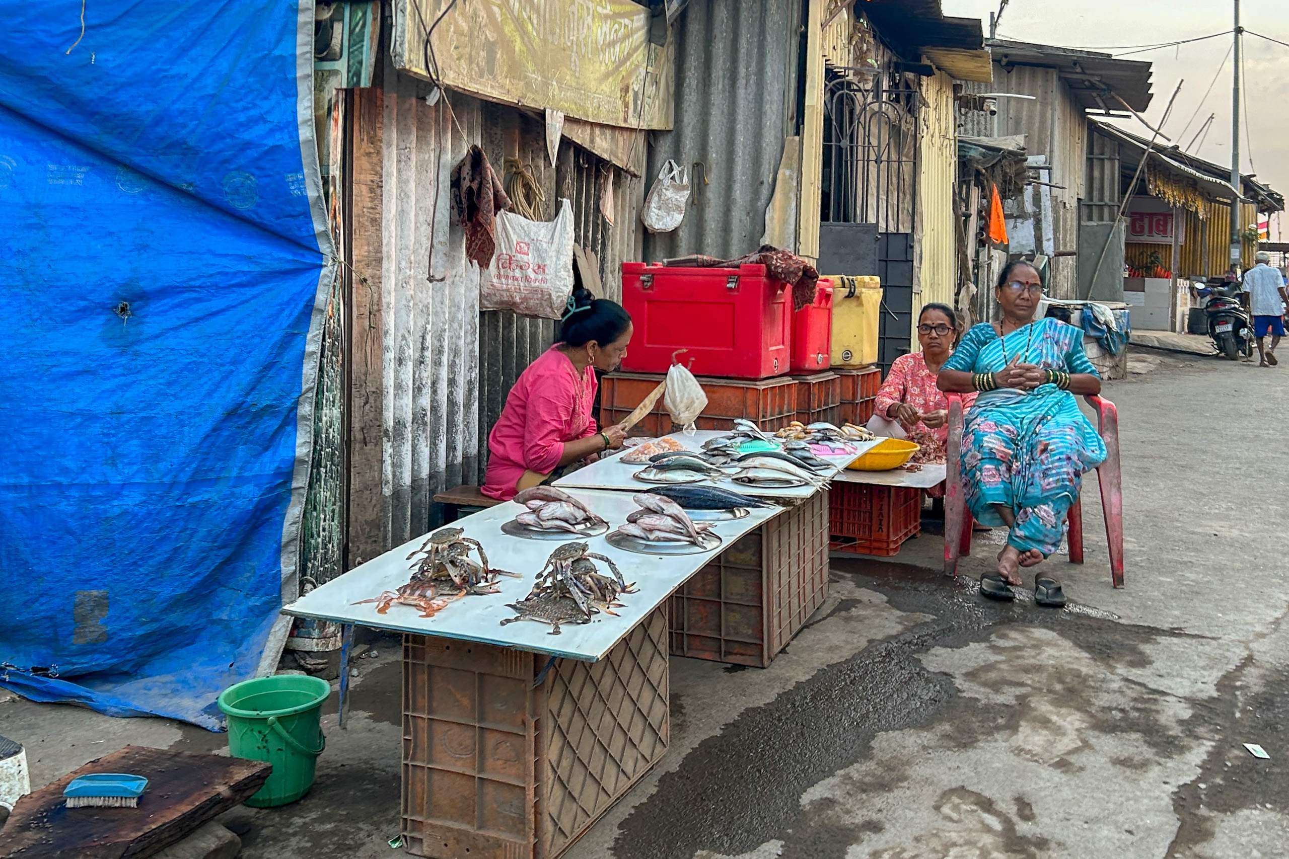 Women sitting near tray with fish and crabs