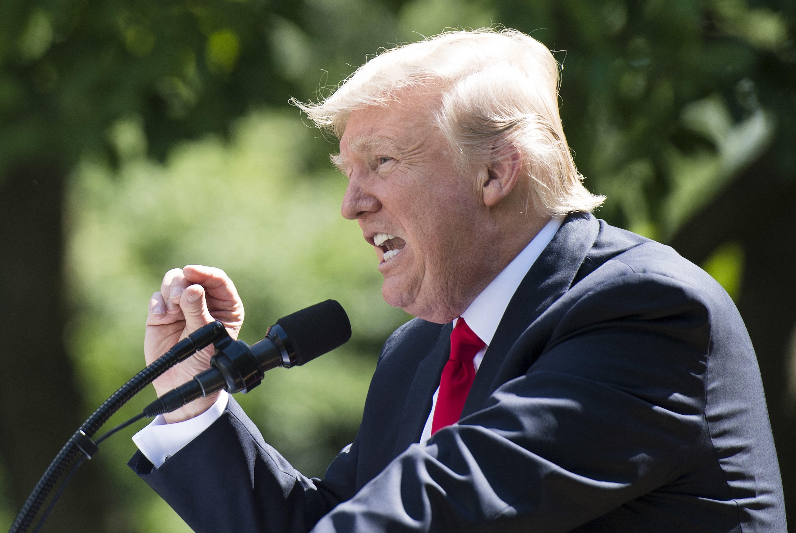 President Donald Trump speaks at the White House
