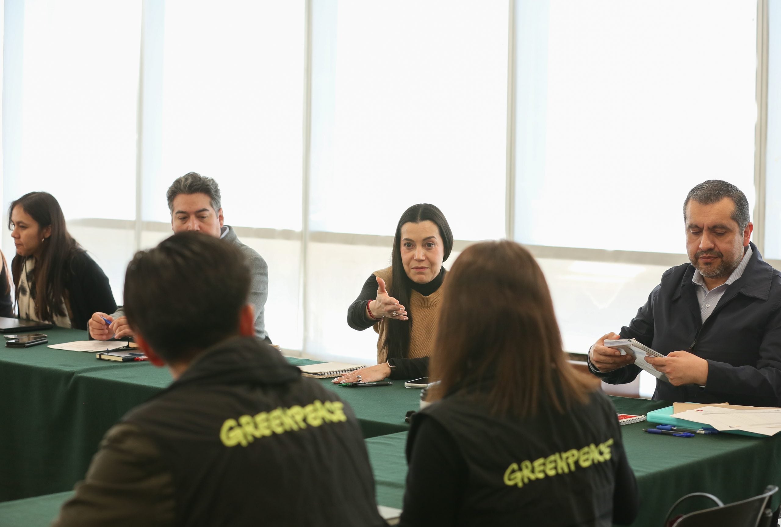 Em fevereiro passado, ativistas do Greenpeace México apresentaram informações ao Ministério do Meio Ambiente