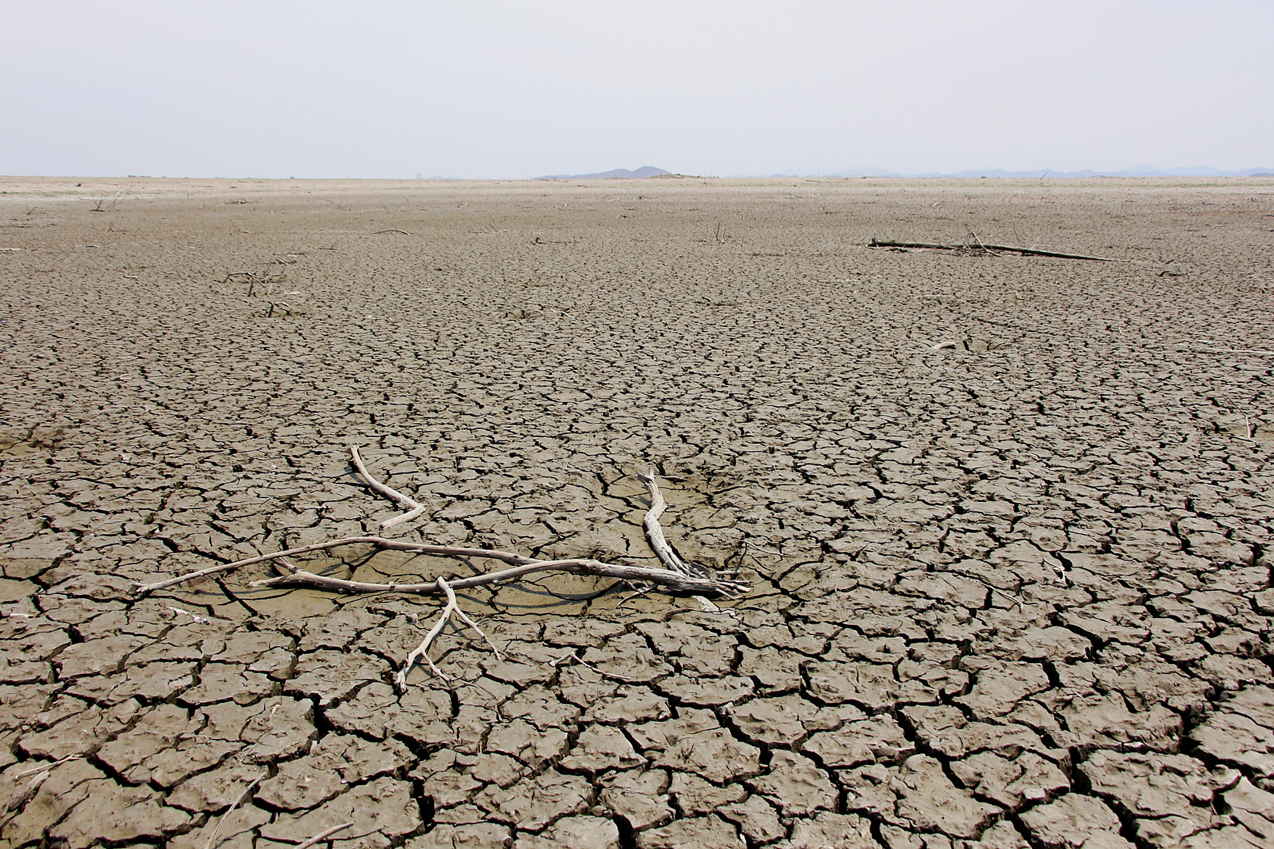 <p>En 2024 se registraron niveles de agua históricamente bajos en el reservorio de Poechos, en la región de Piura, que en algunos puntos se secó por completo (Imagen: Ralph Zapata)</p>