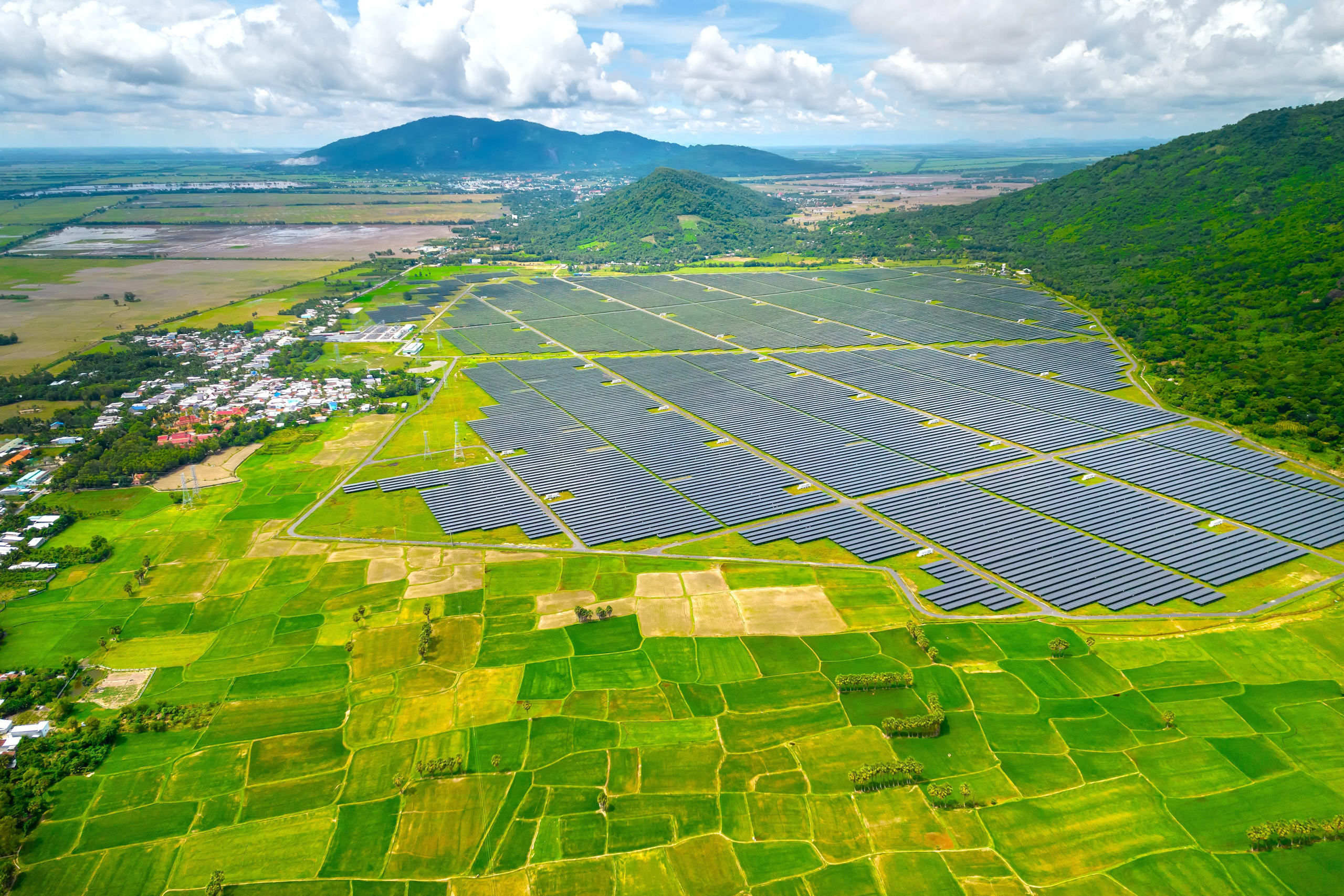 solar farm near rice fields