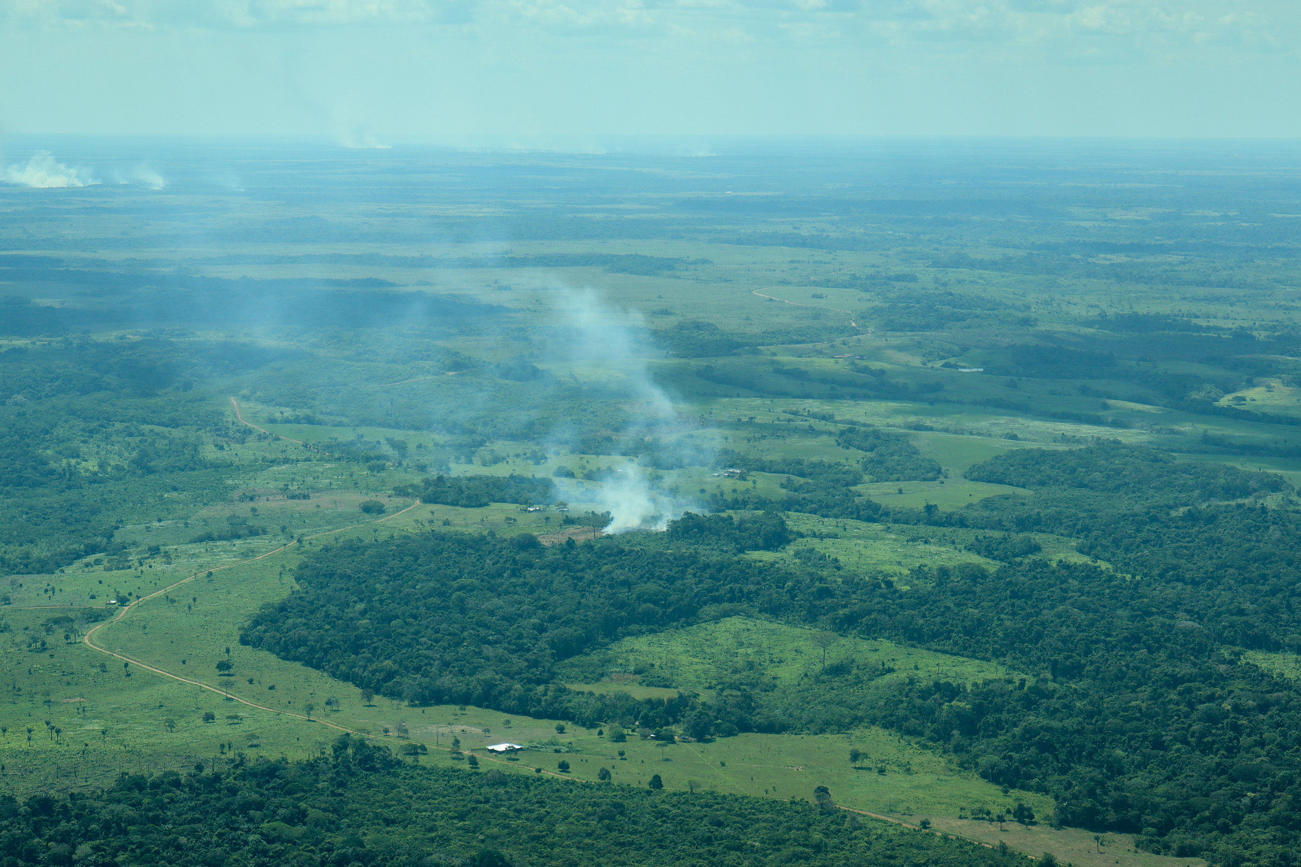 a large green field with smoke rising from it