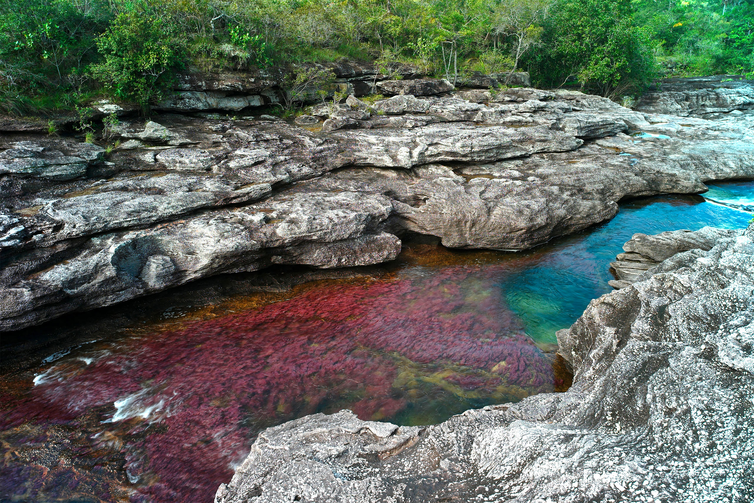 Caño Cristales, no Parque Nacional Natural Sierra de la Macarena