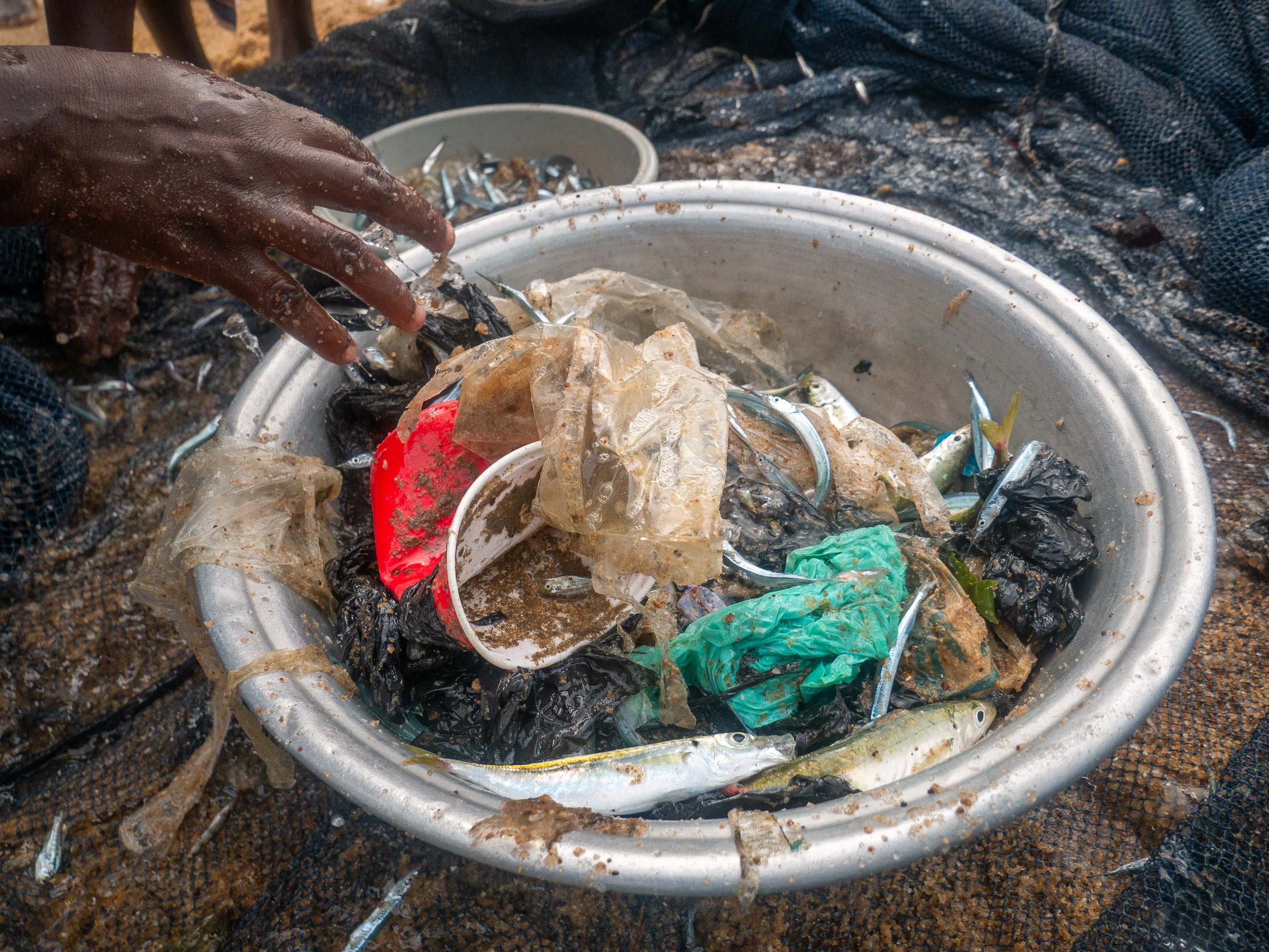 A metal bowl filled with small fish mixed with various pieces of plastic waste
