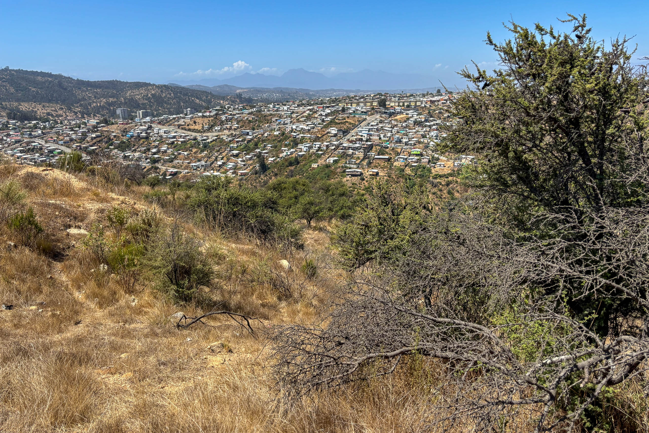 houses on a dry hillside