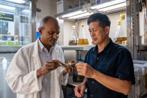 Two men in lab coats examining an oyster