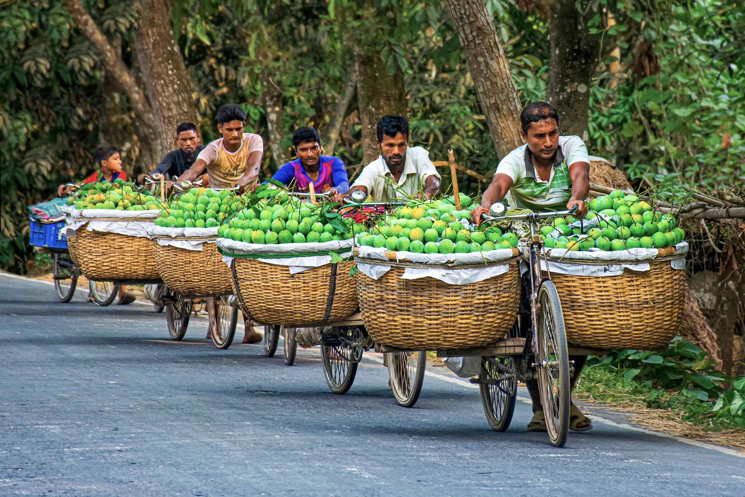 Five men push bicycles laden with large baskets of green mangoes on a road