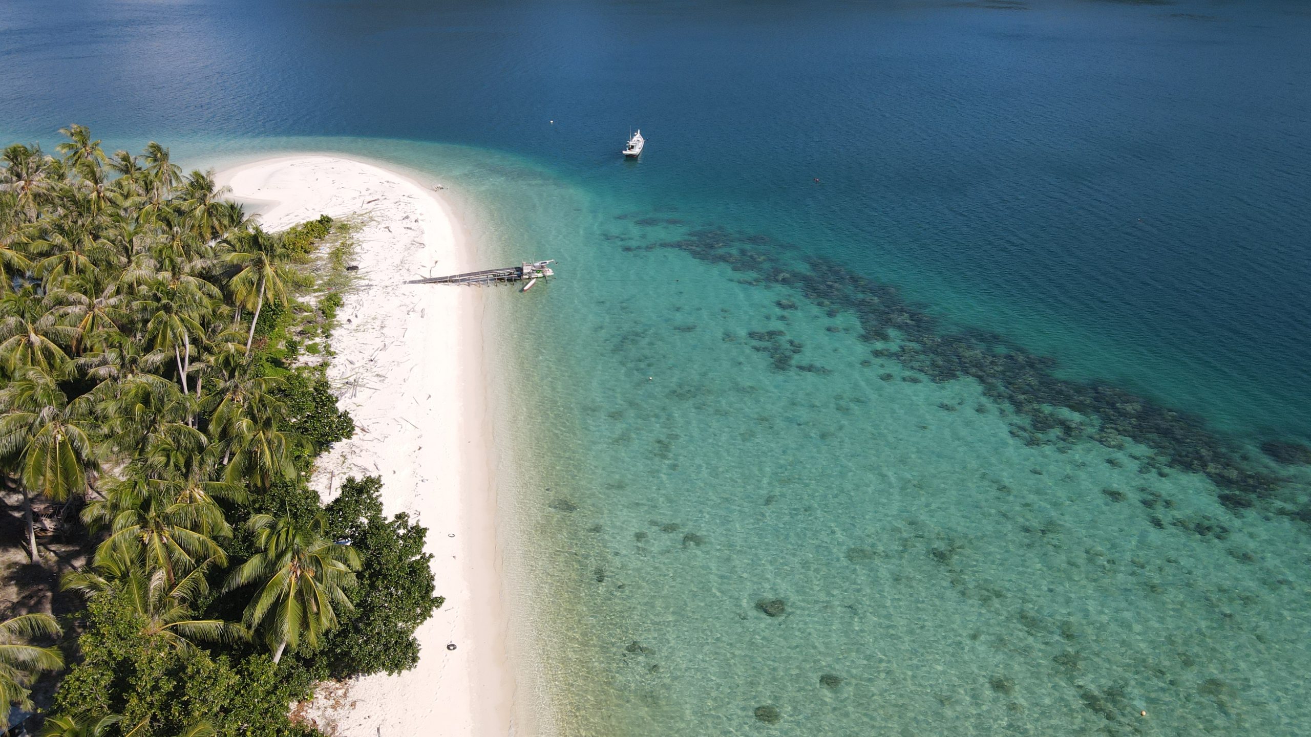 <p data-guid="a864dd5a-8e00-468c-8b9a-50ea2ff9f518" data-pm-slice="1 1 []">Fishing communities in Indonesia depend on animals that can originate as larvae over 100 km away. Protecting the highways that connect different ocean sites is vital (Image © Yayasan Planet Indonesia)</p>