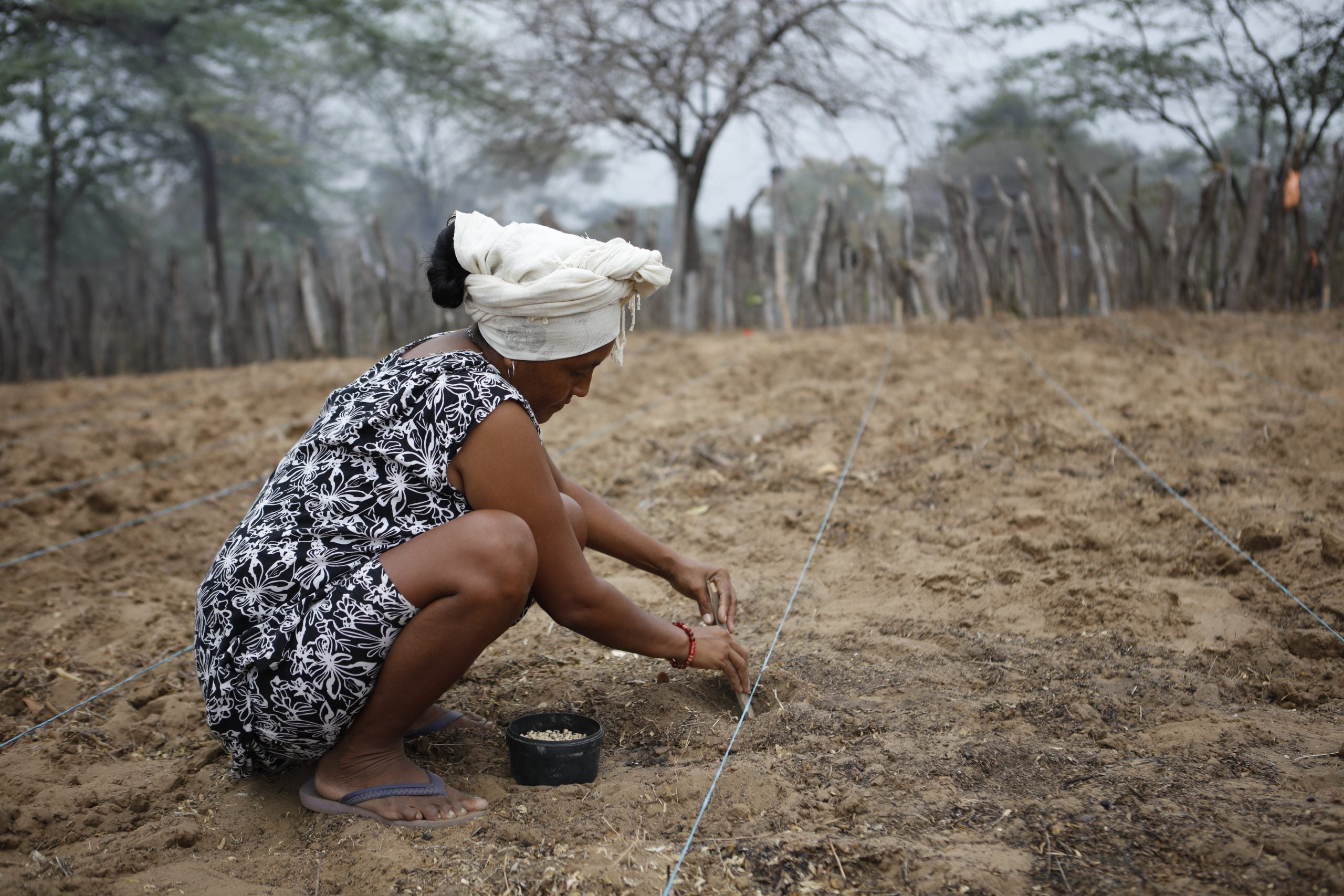 Agricultora semeia solo em Manaure, La Guajira, Colômbia