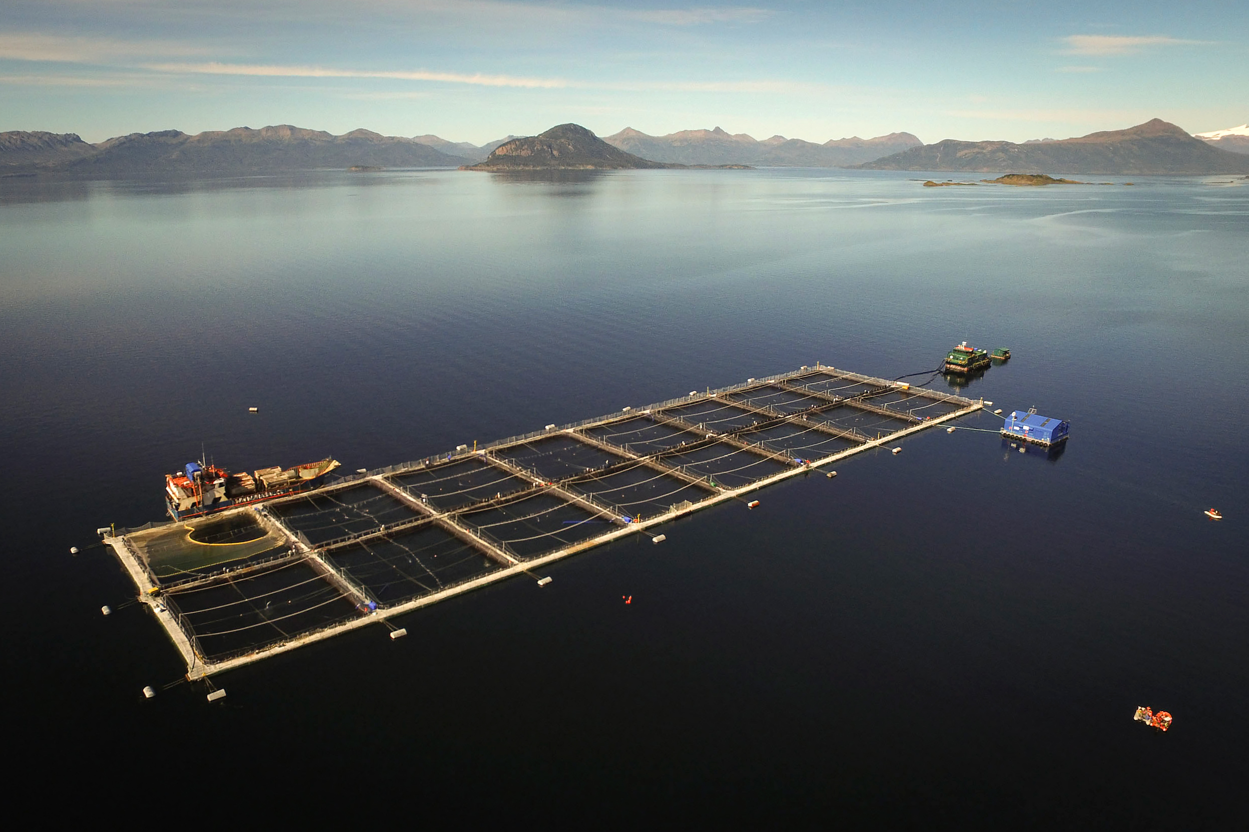 salmon cages