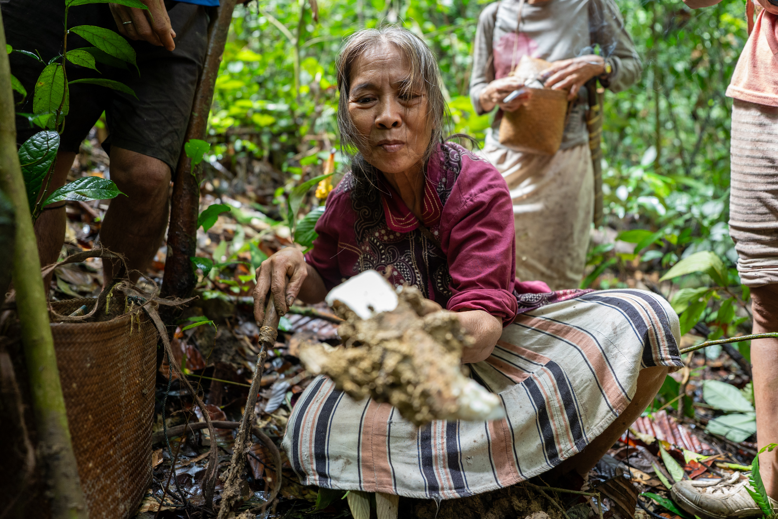 An elderly woman holds a piece of plant root 