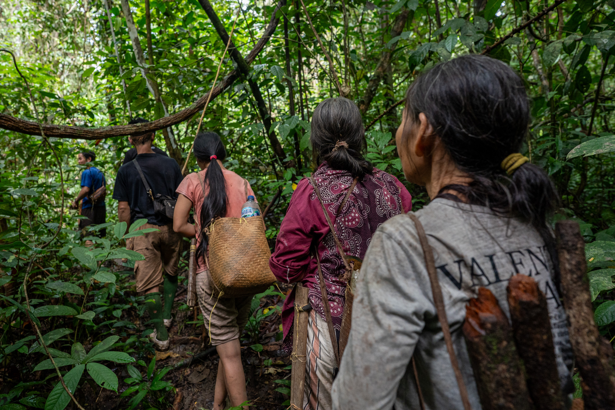 A group of people trekking through a dense forest