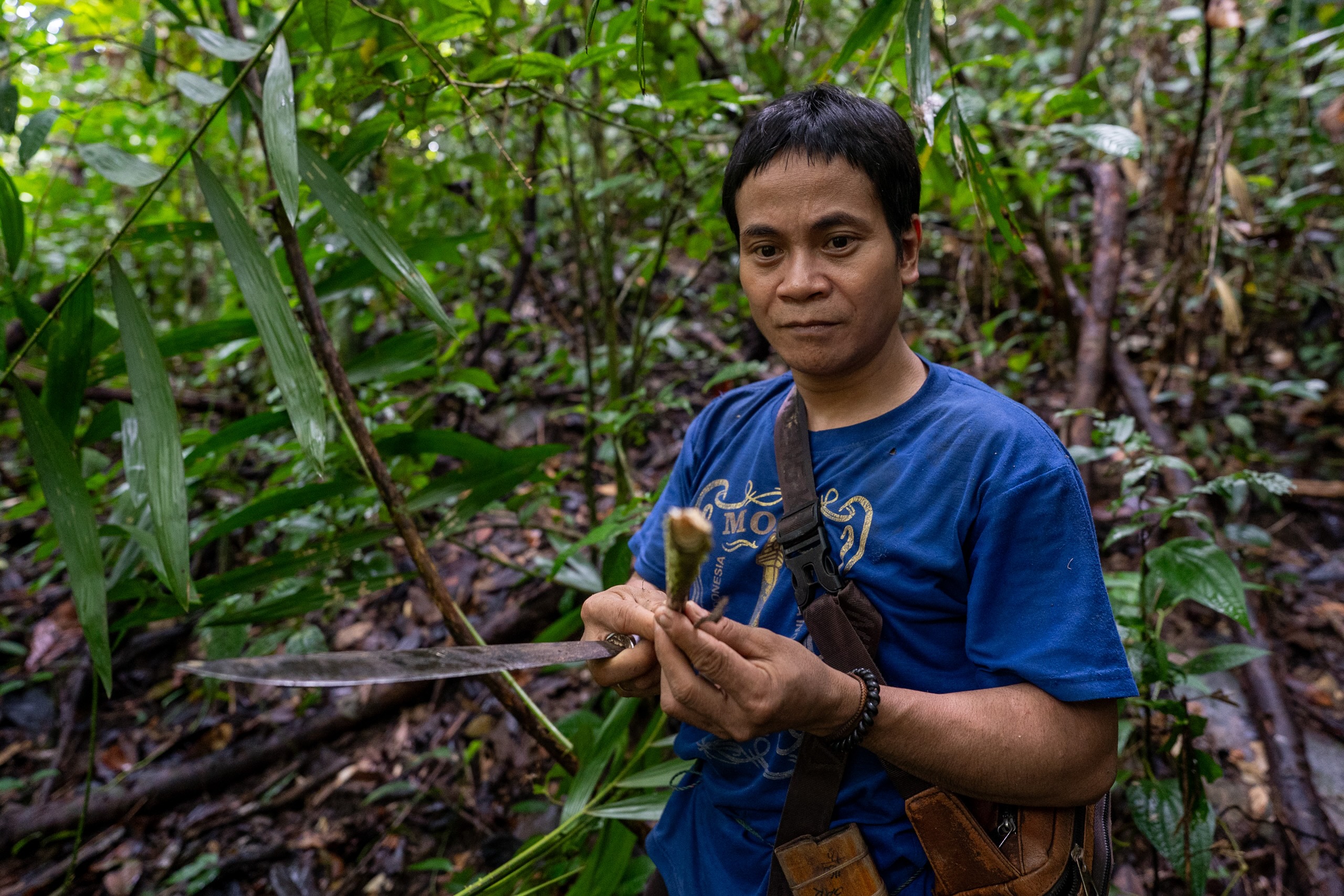 A man holds pieces of plants in the forest