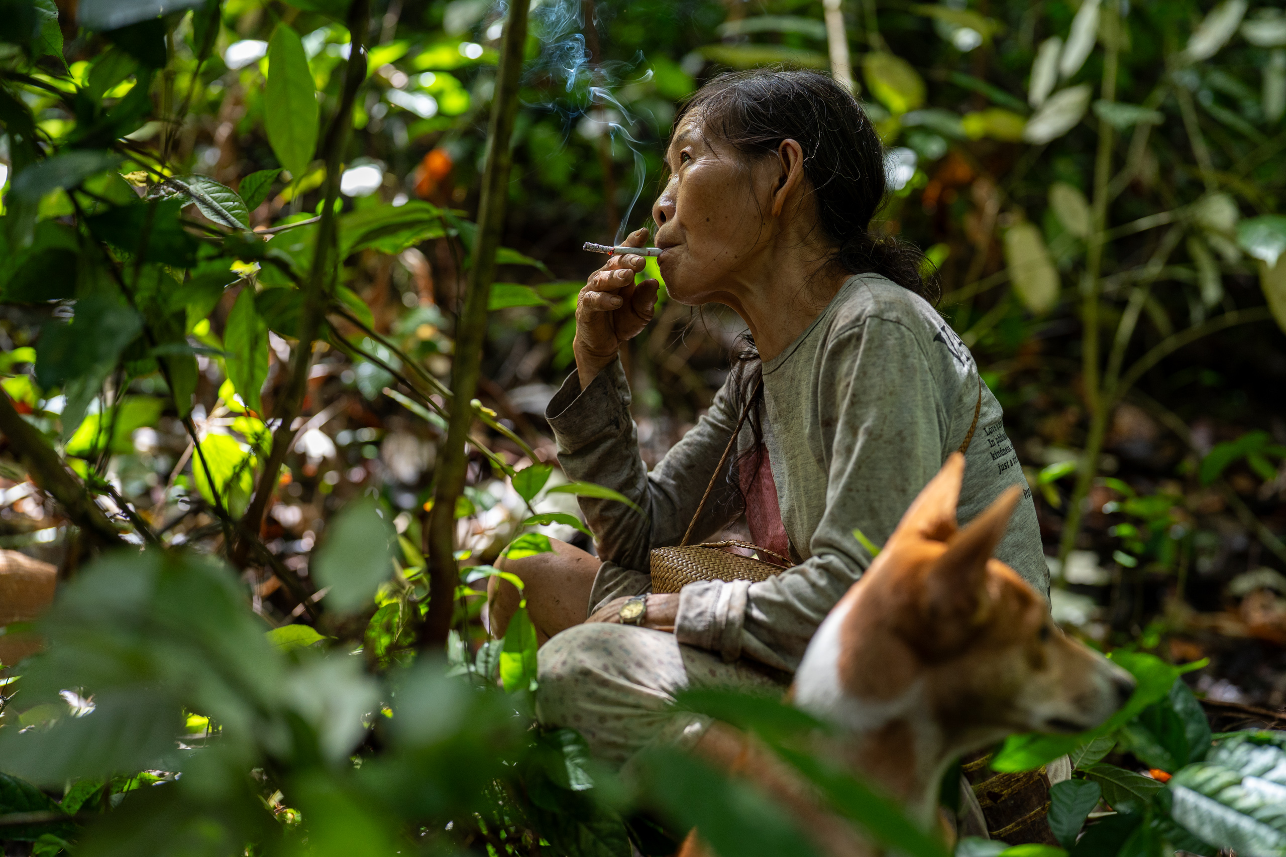 A woman sits in the woods beside a dog