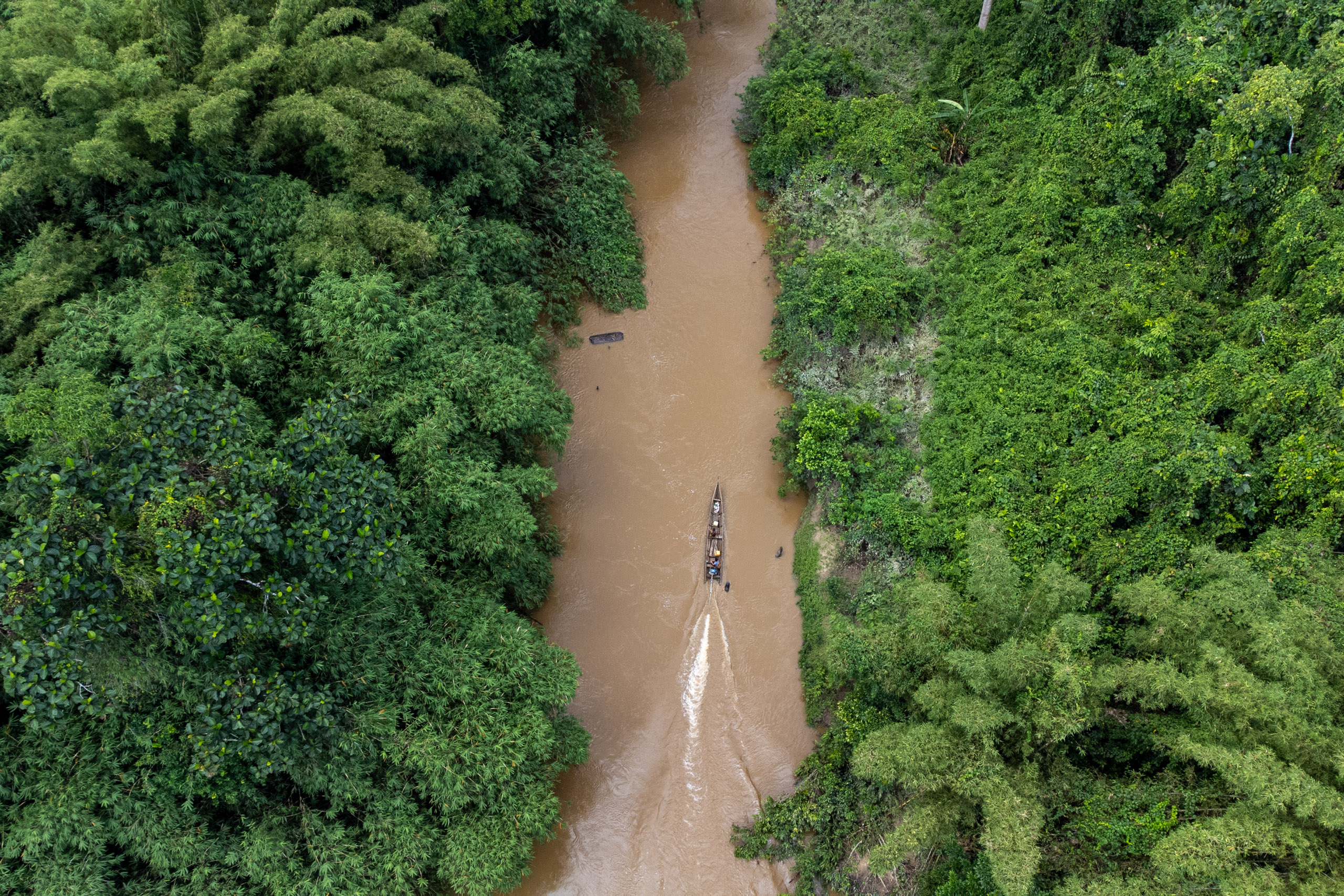 Aerial view of a winding river flowing through a dense forest area
