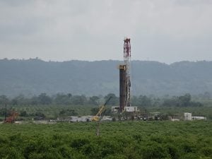 oil well surrounded by greenery