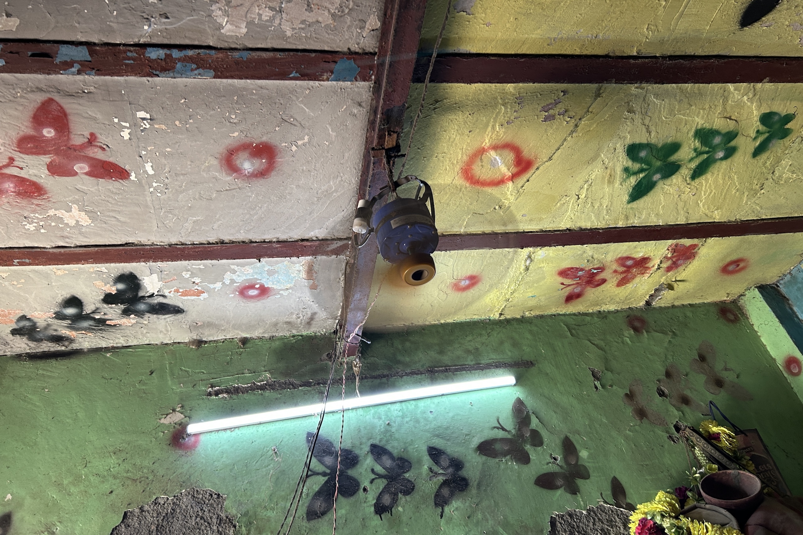 single ceiling beneath colourful walls