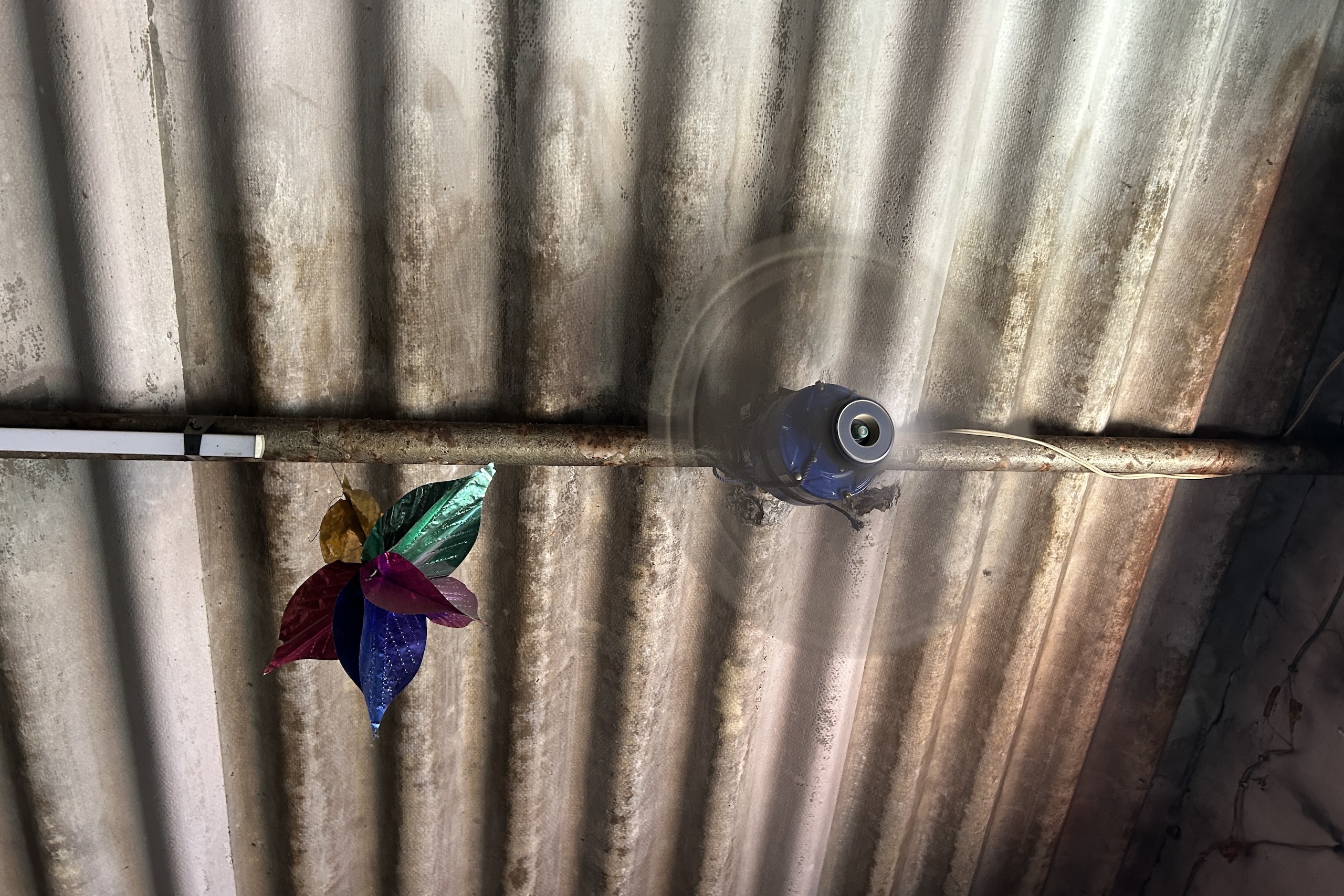 ceiling fan beneath tin roof