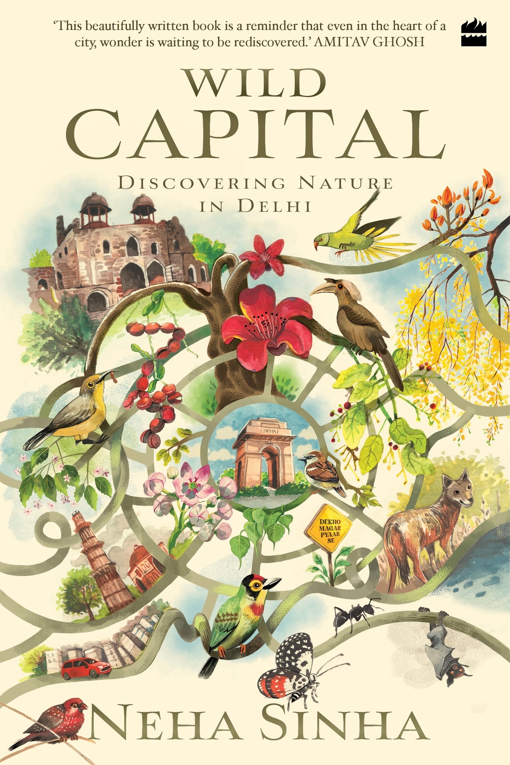 Wild Capital Book Cover