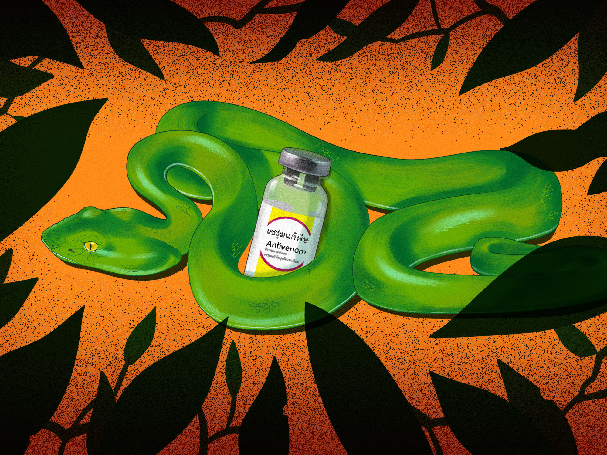 <p>(Illustration: Amelia K. Bates / Grist)</p>