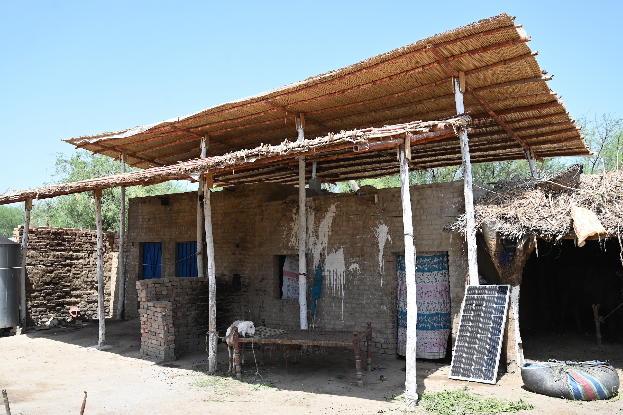 <p>A double-roof shade in Sain Dino Palejo village, Matiari, Sindh. The design reduces sun exposure and allows air to circulate. It also provides a shaded outdoor area people can sit in, plus a space where animals can rest (Image: Sates Kumar, IGHD Team)</p>