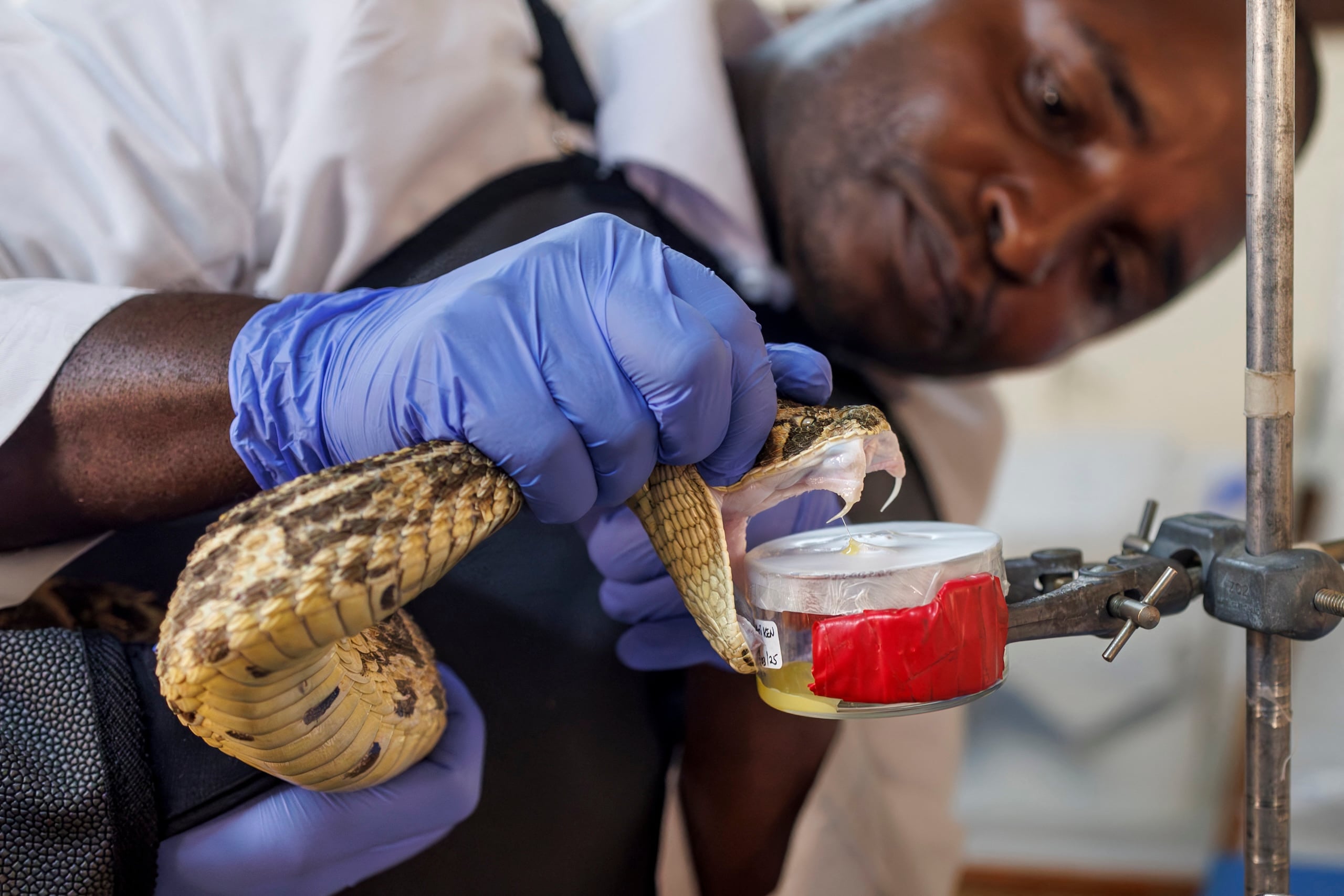 A man in a lab coat holds a snake