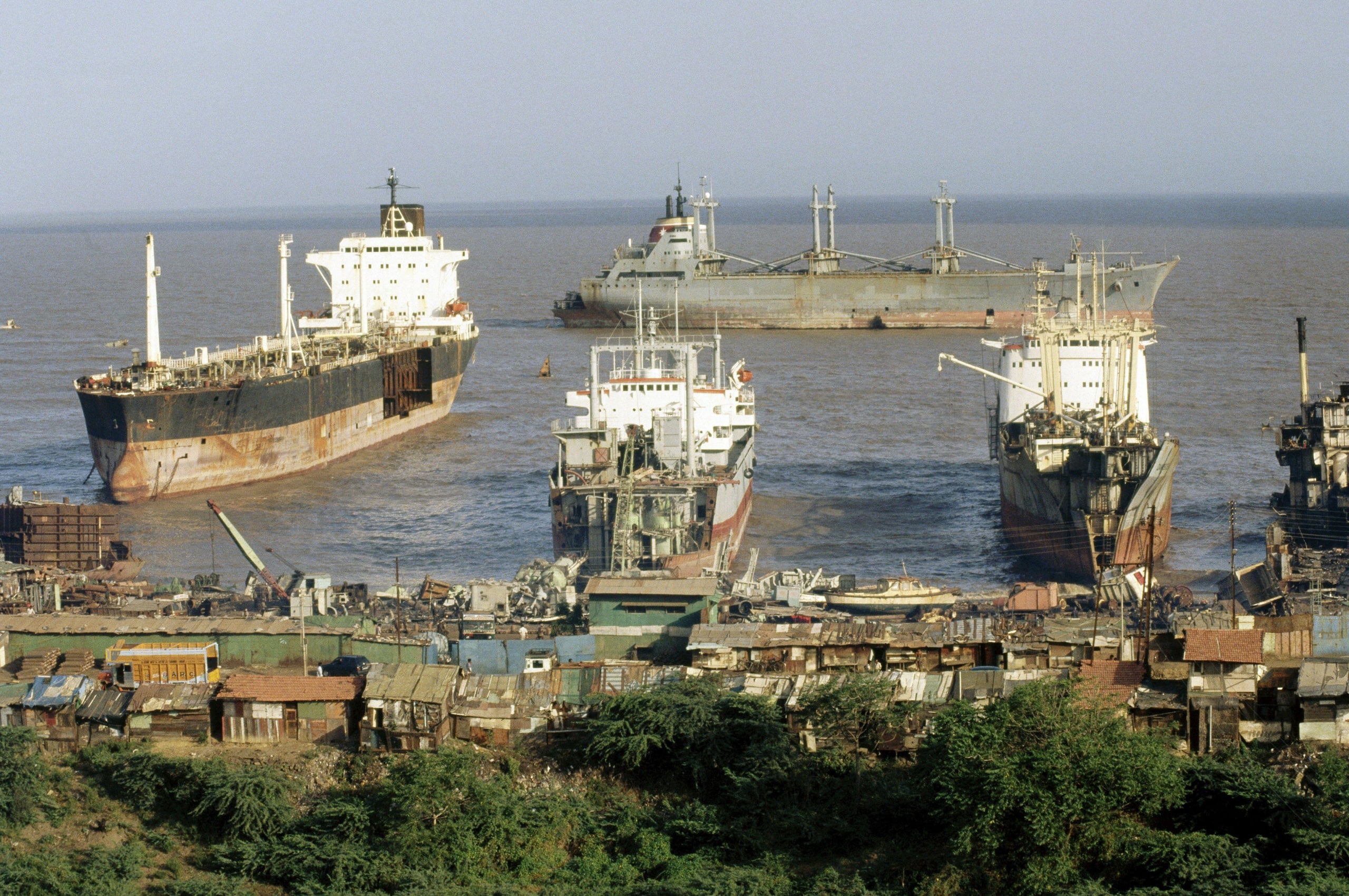 ships docked in bay