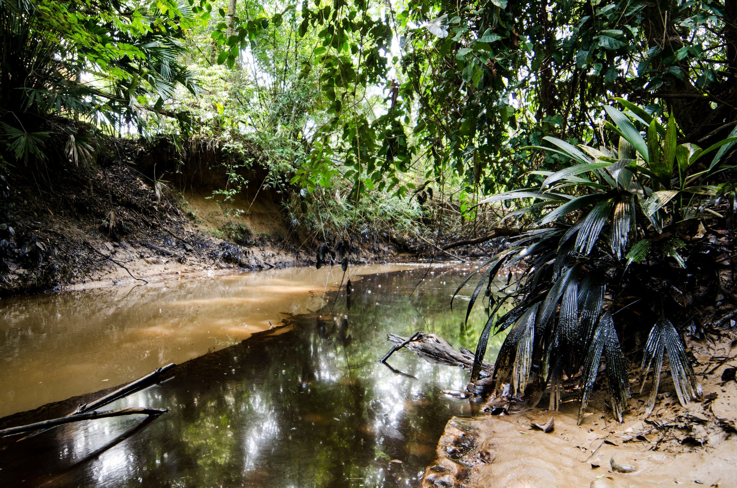 Petróleo en la superficie de un cuerpo de agua en una zona ribereña