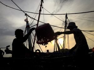 Two workers unload trash fish from a boat