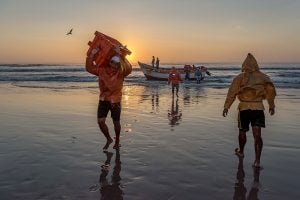 people on beach at sunset