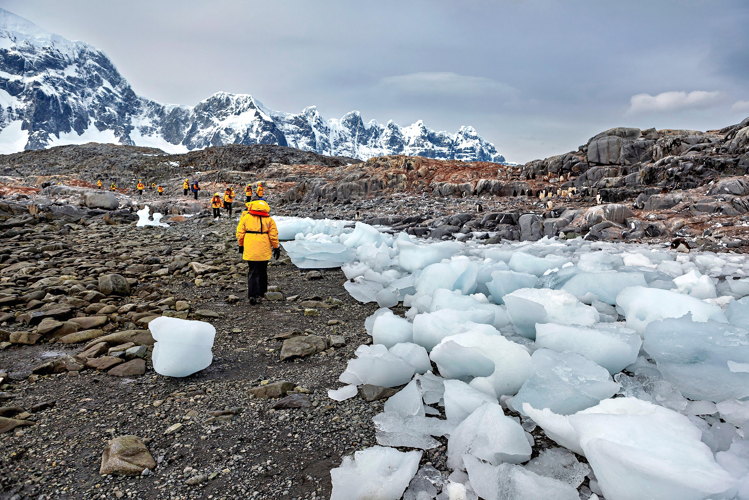<p>Turistas caminham pela Península Antártica. O local é um dos que mais sofre com o aumento das temperaturas globais (Imagem: Heckepics / Alamy)</p>