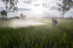 A man in protective gear sprays pesticide on a field
