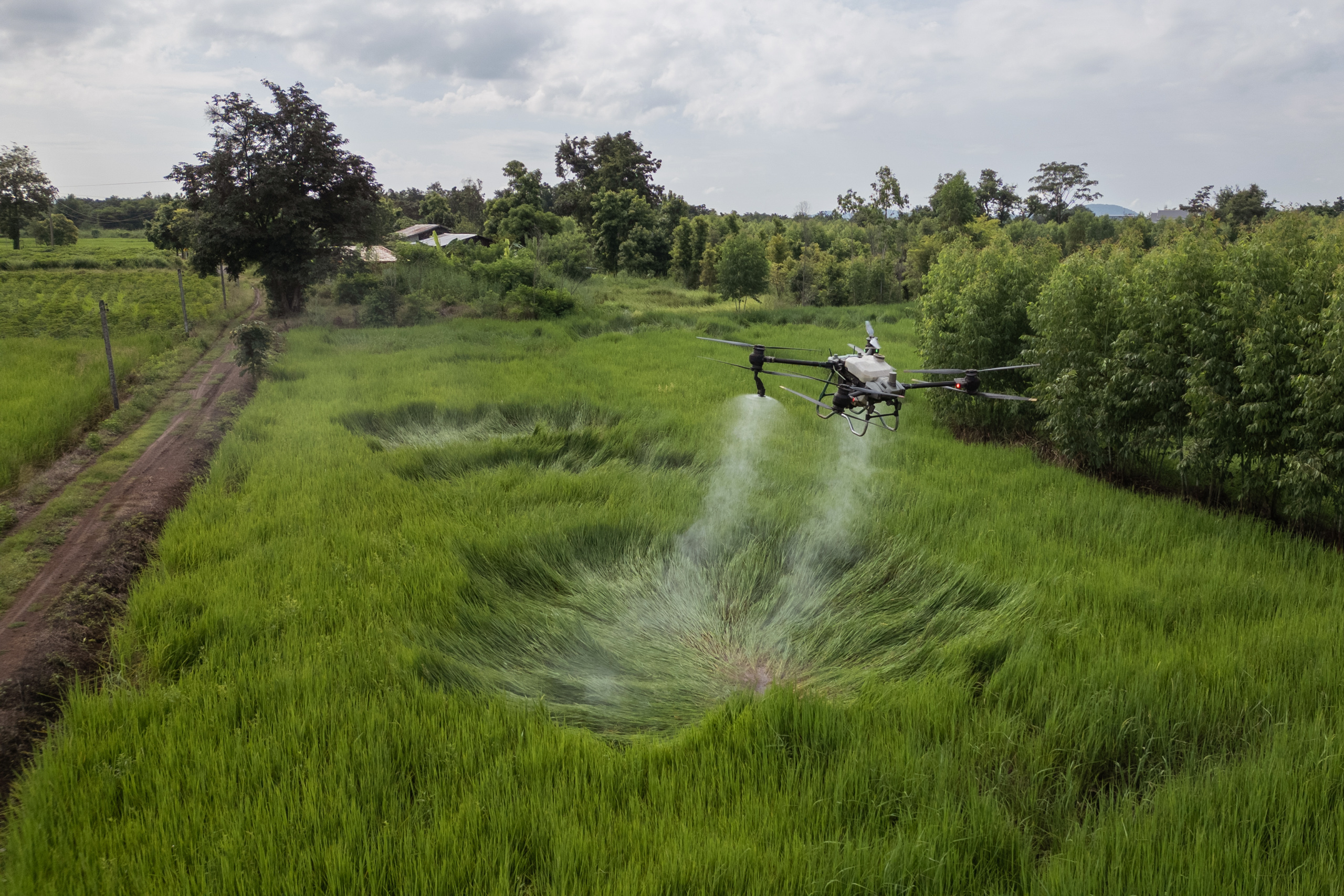 A drone disperses pesticides over a green agricultural field