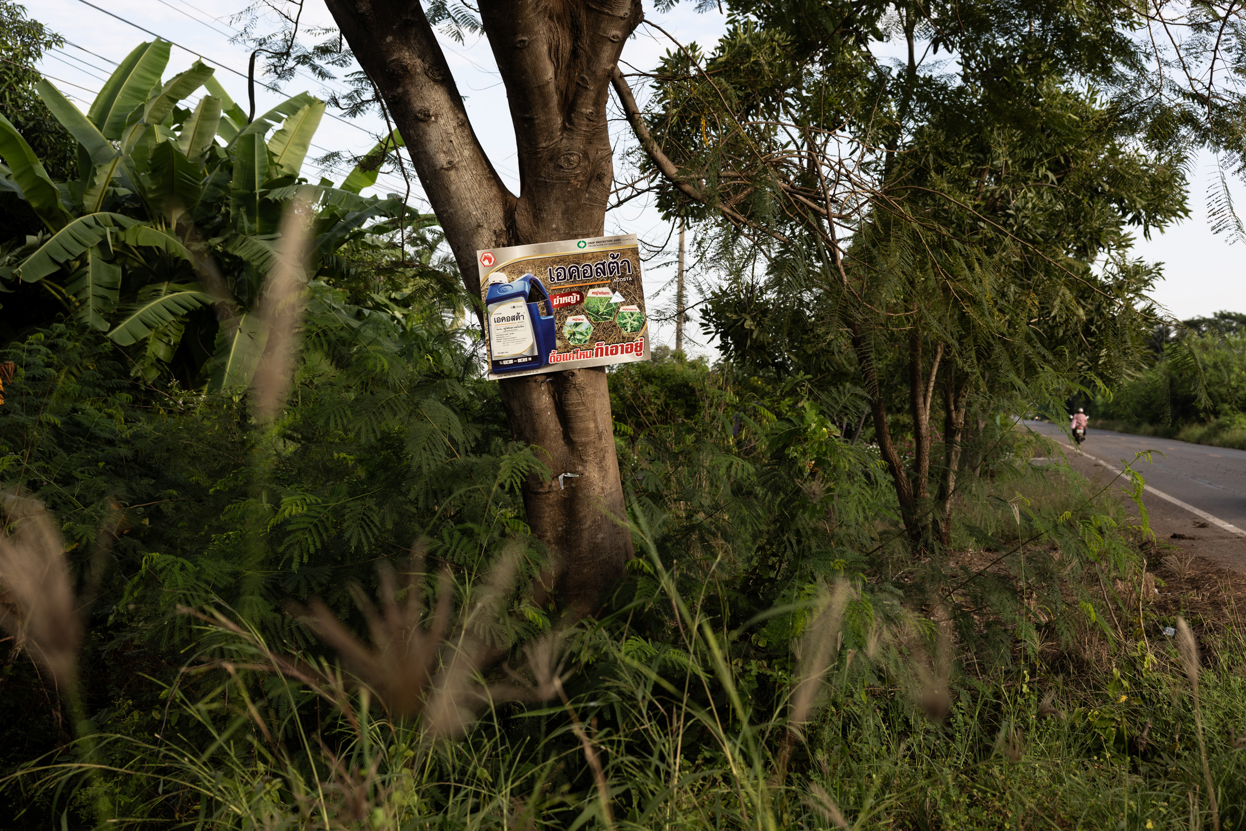 A sign mounted on a tree