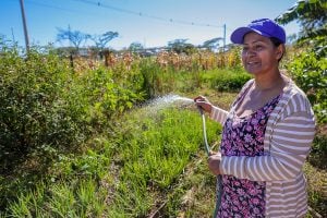 Woman watering crops with hose in garden