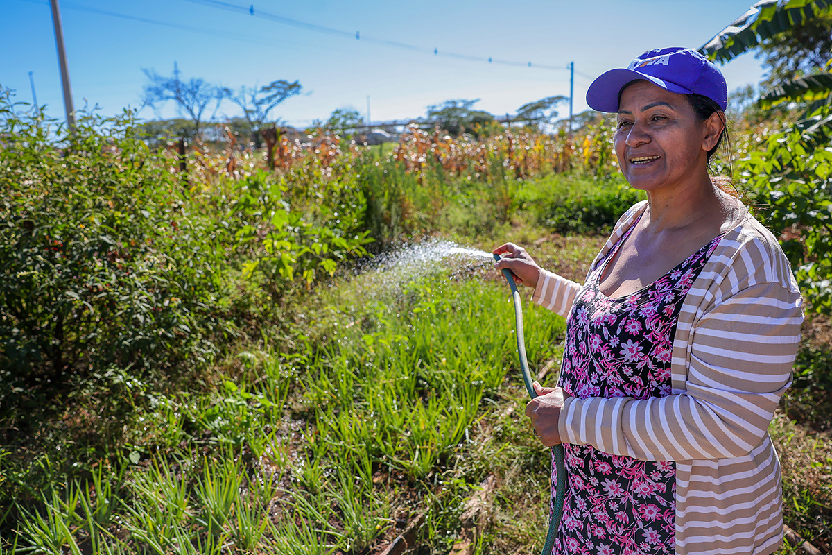 Nasaré Francisca da Silva rega horta na Floresta da Nasaré