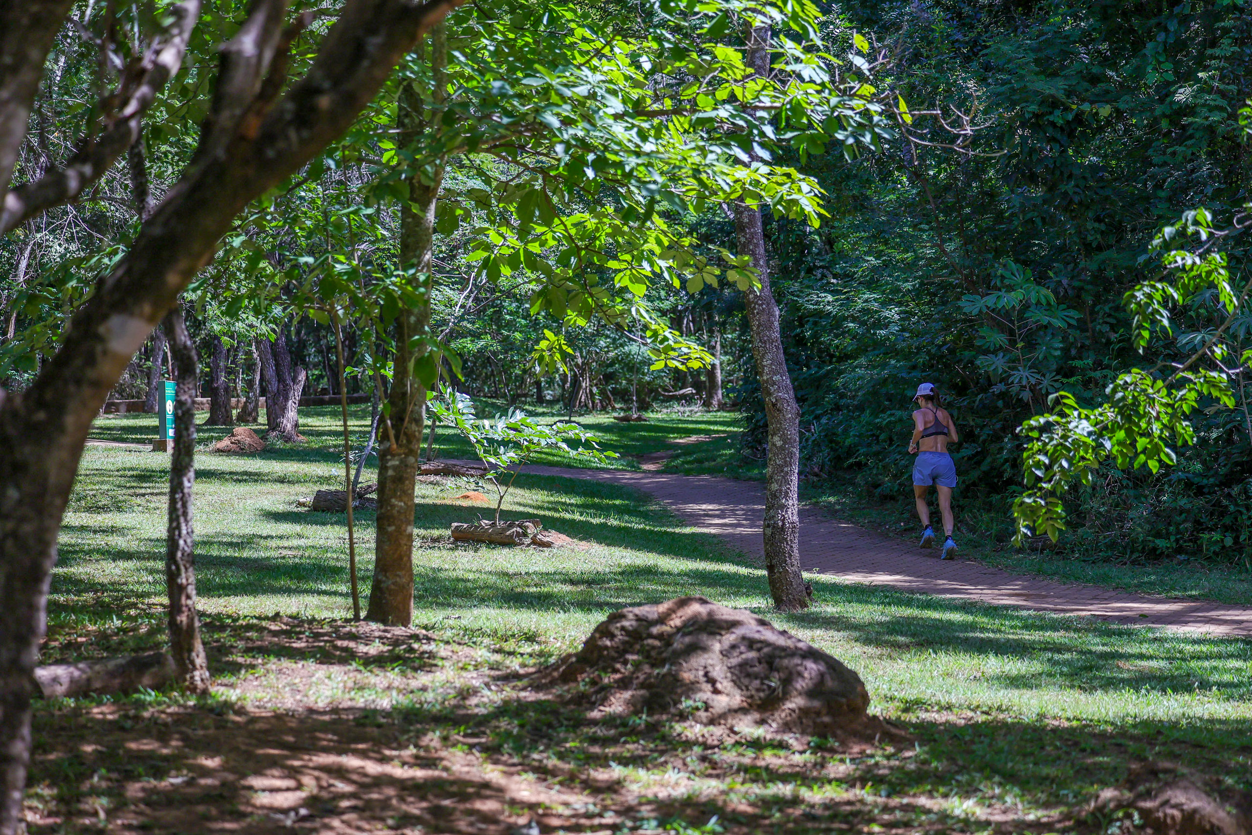 Parque Olhos d’Água, Asa Norte, Plano Piloto