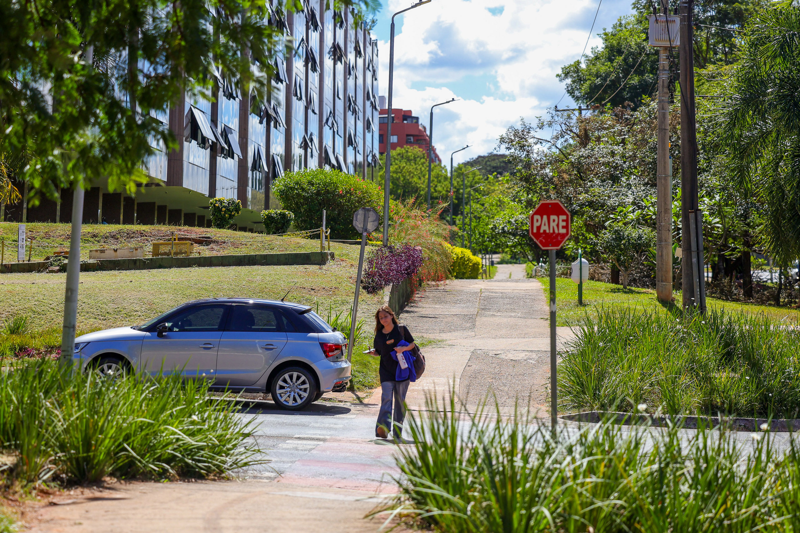 Rua arborizada do Plano Piloto, no centro de Brasília