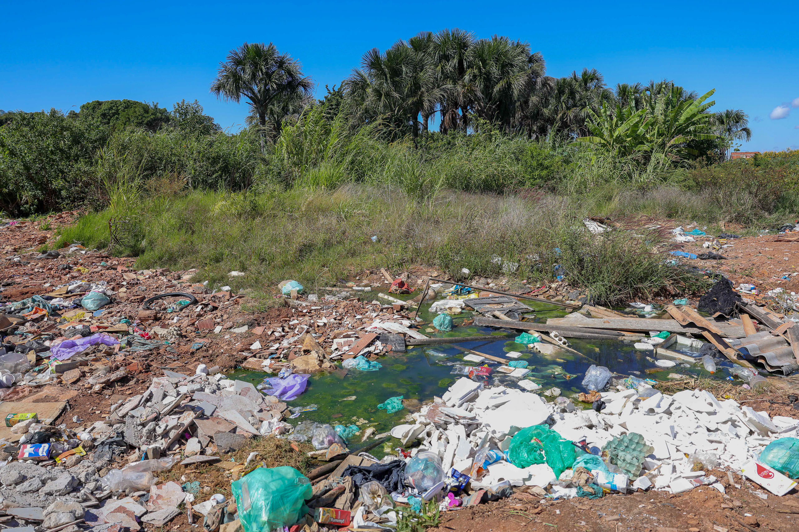 Polluted outdoor area with trash and debris scattered around a green pond