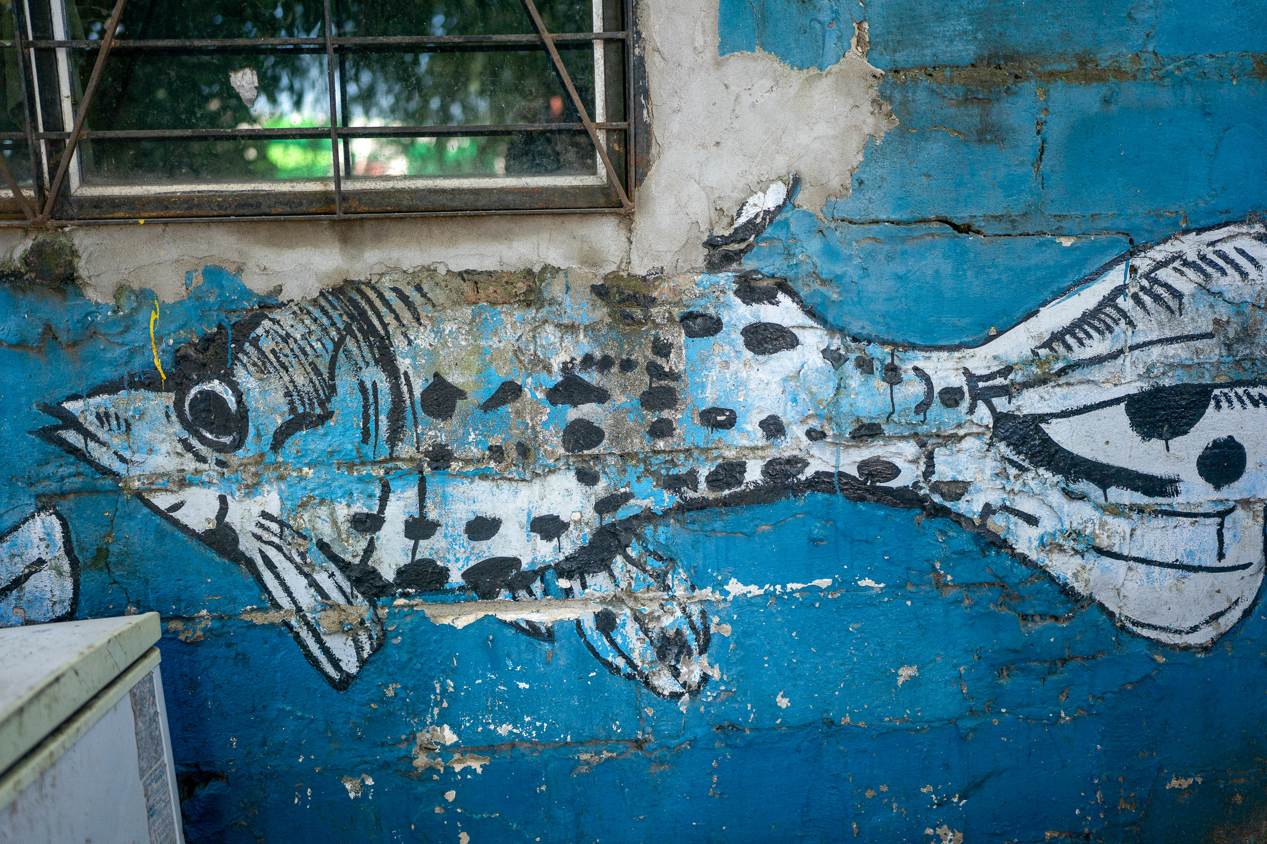 Graffiti fish on blue wall with peeling paint