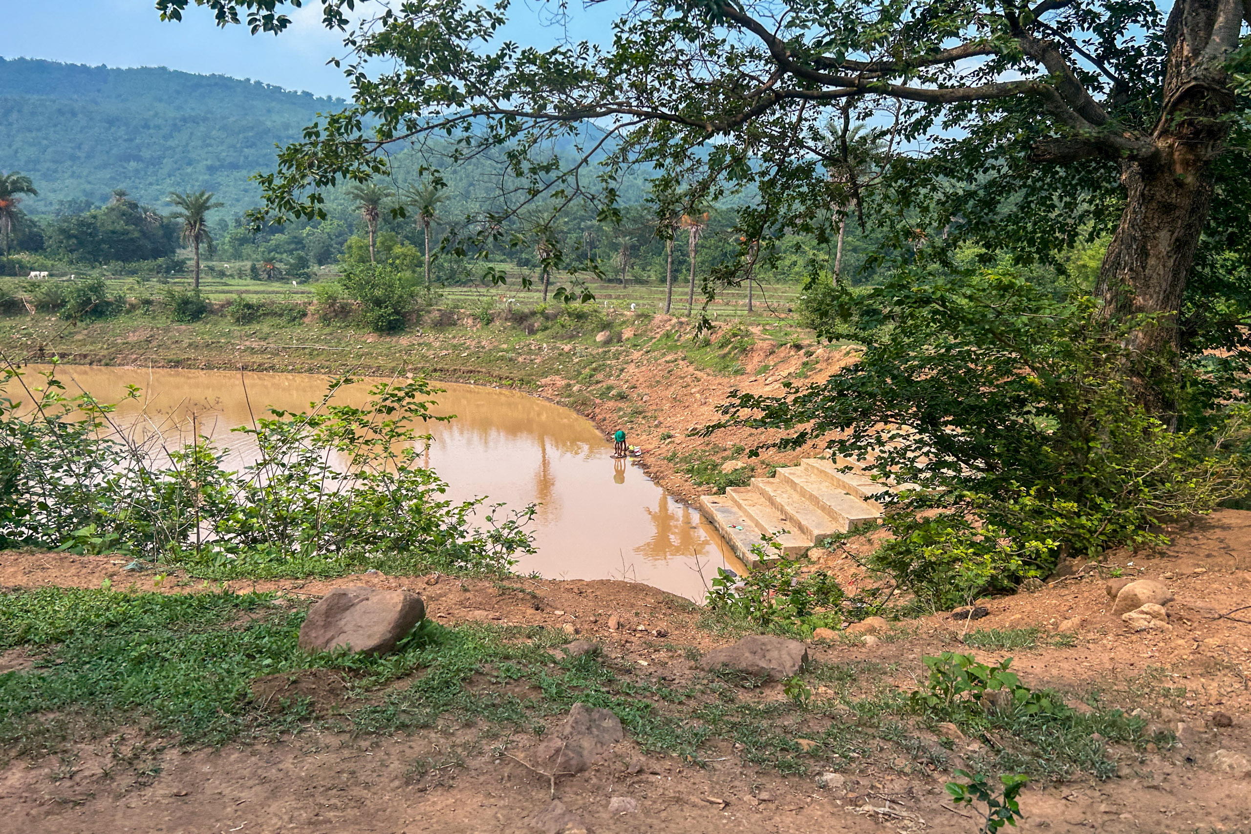 A dirt road stretches through a landscape, with a pond situated in the center