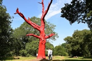 Two people stand next to a painted red oak tree in a big garden