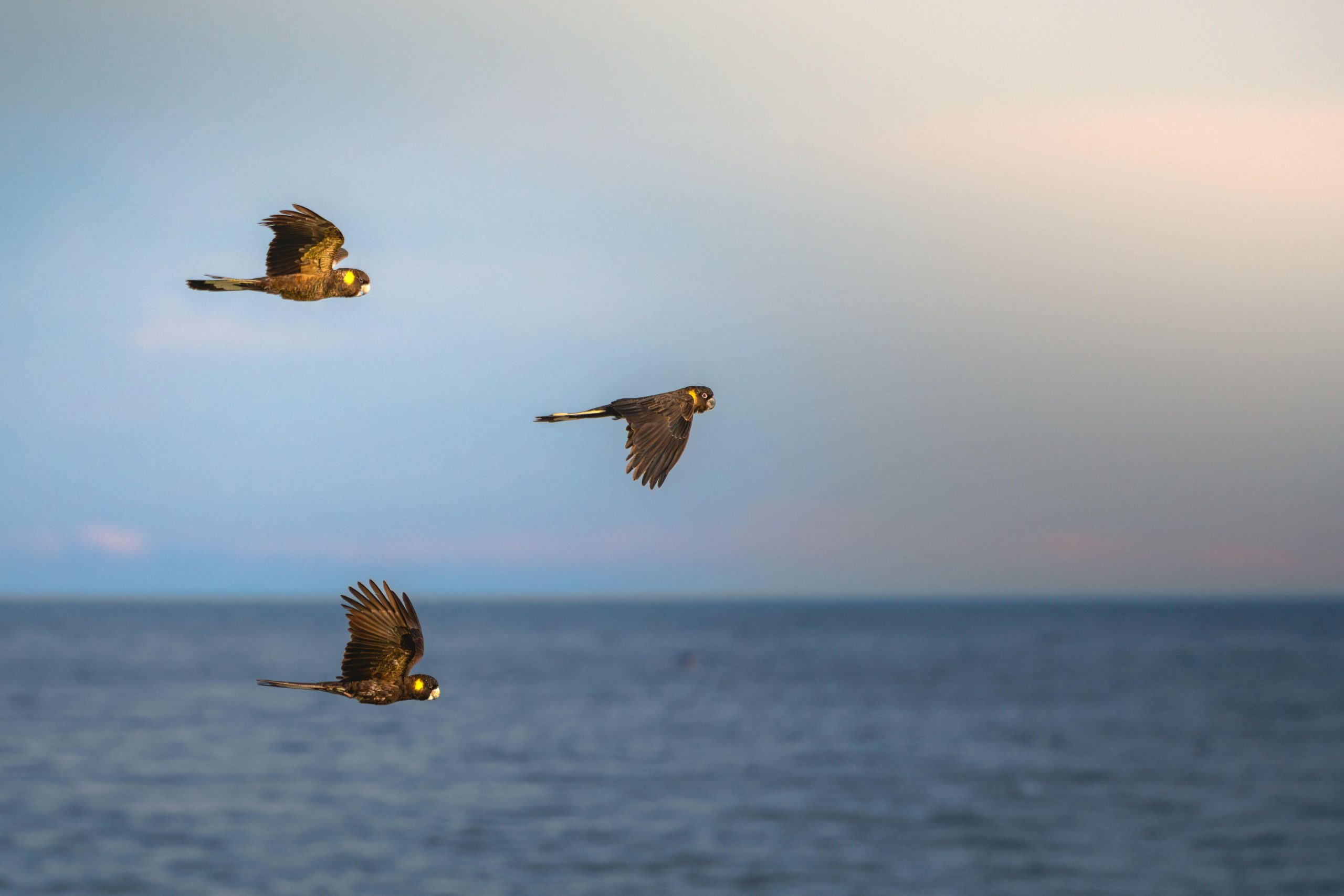 <p>Belgium, Chile and China are racing to host the headquarters of the high seas treaty’s secretariat, which is expected to be announced in January 2027 (Image: Matt Sheumack / Alamy)</p>