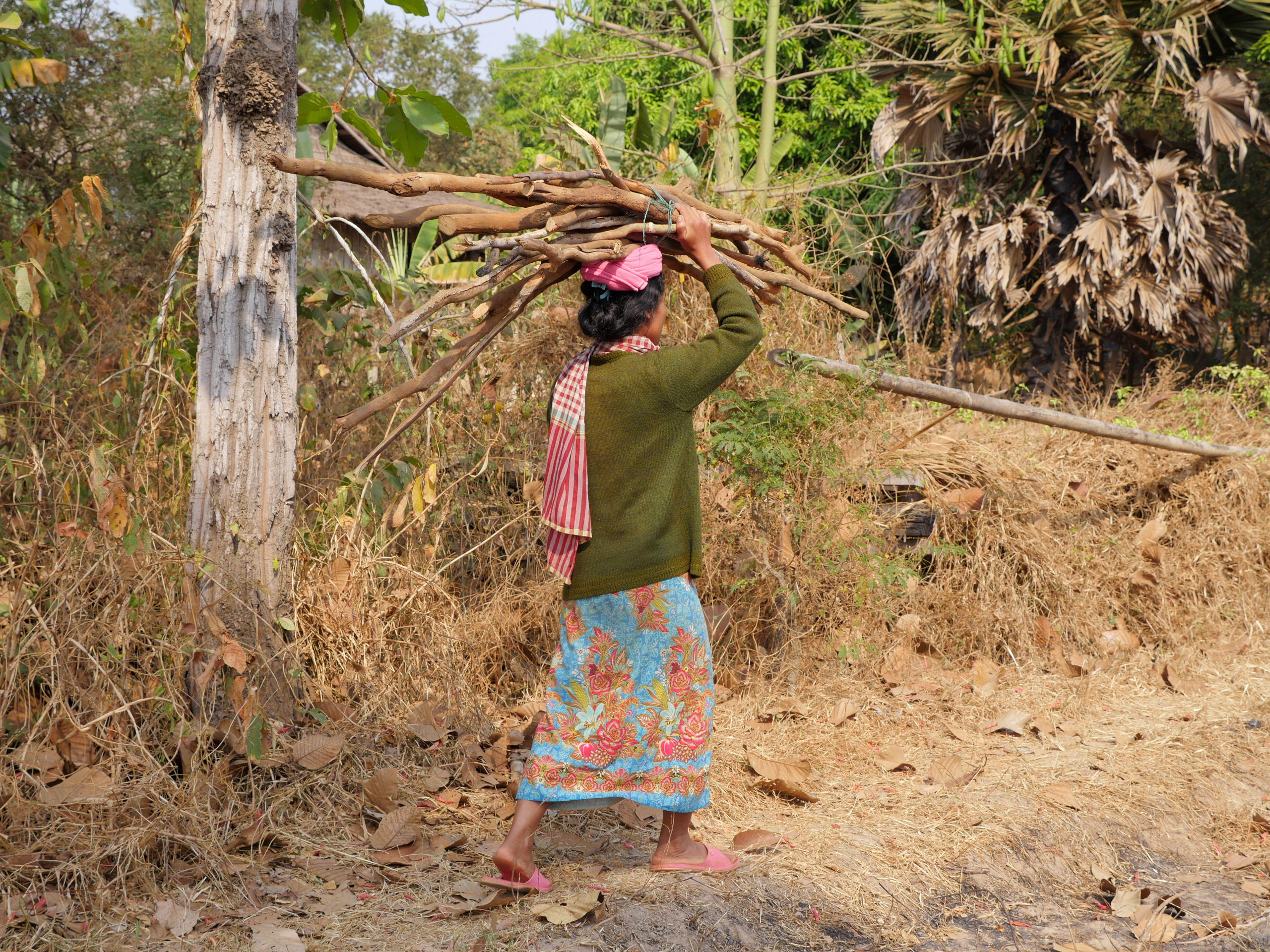 woman carrying firewood on head