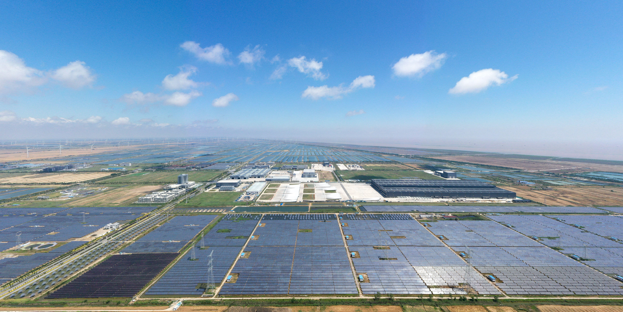 Large field of ground mounted solar panels