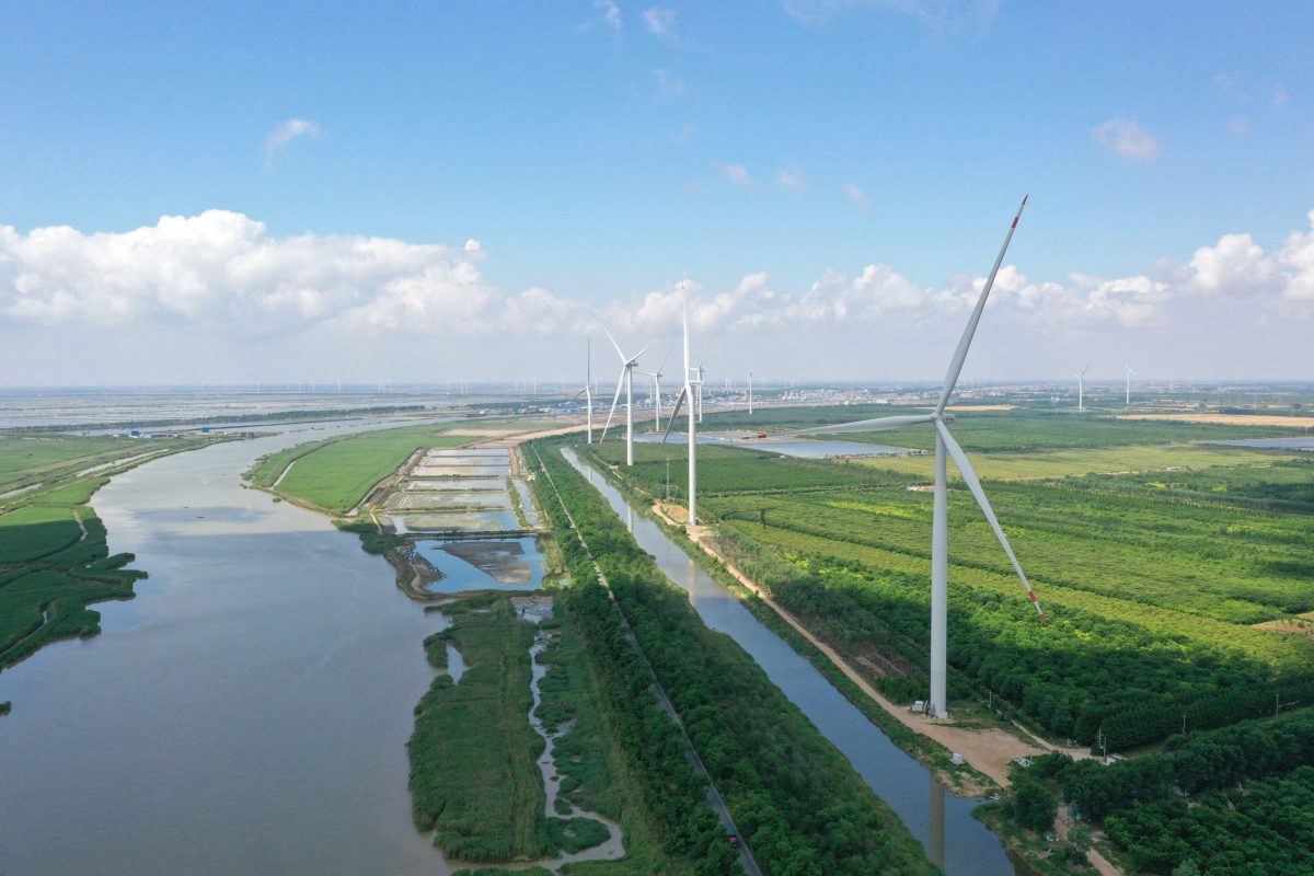 row of wind turbines in green field