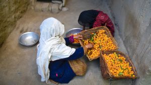 two people seated on floor sorting apricots