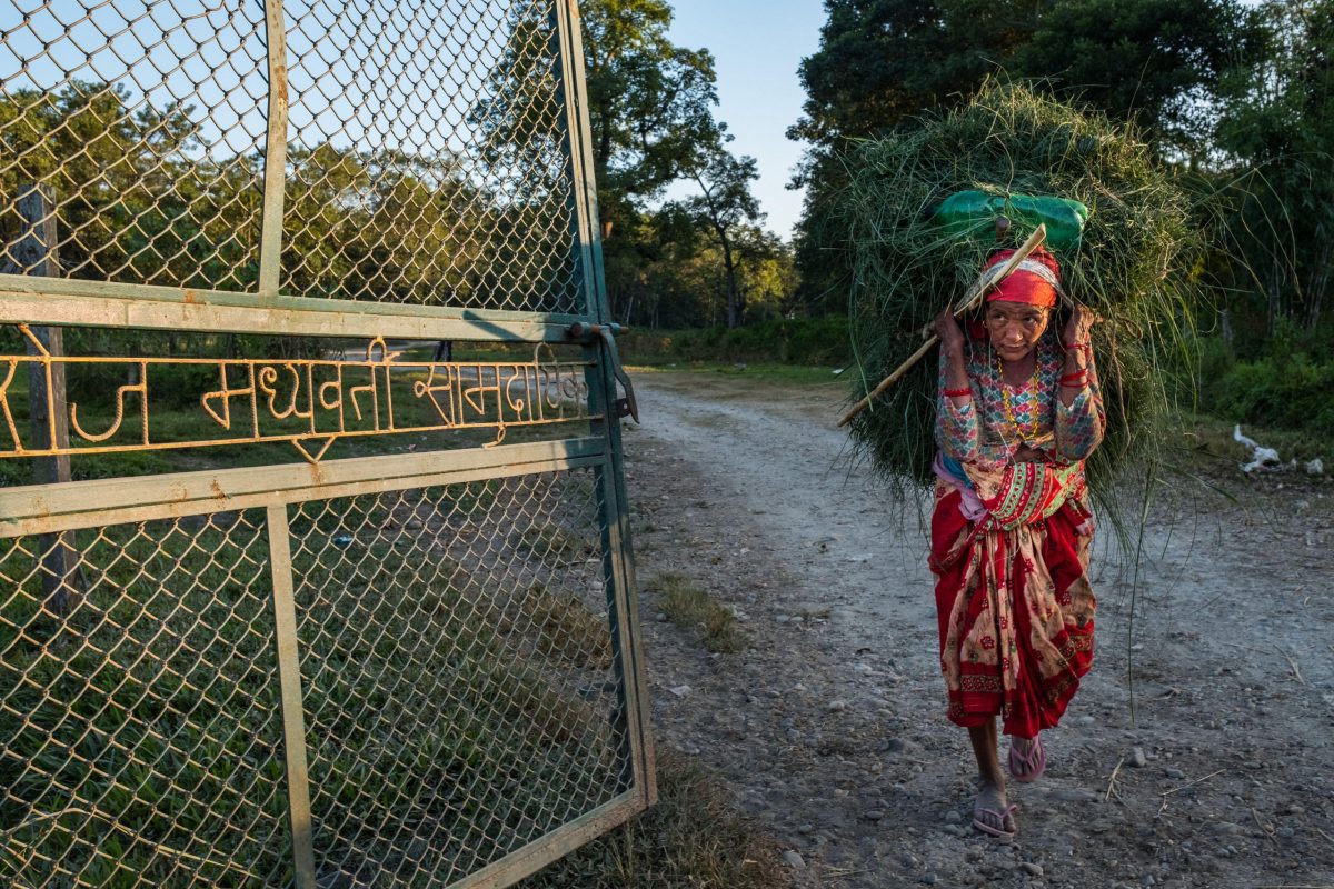Is climate finance reaching local and Indigenous communities in Nepal?