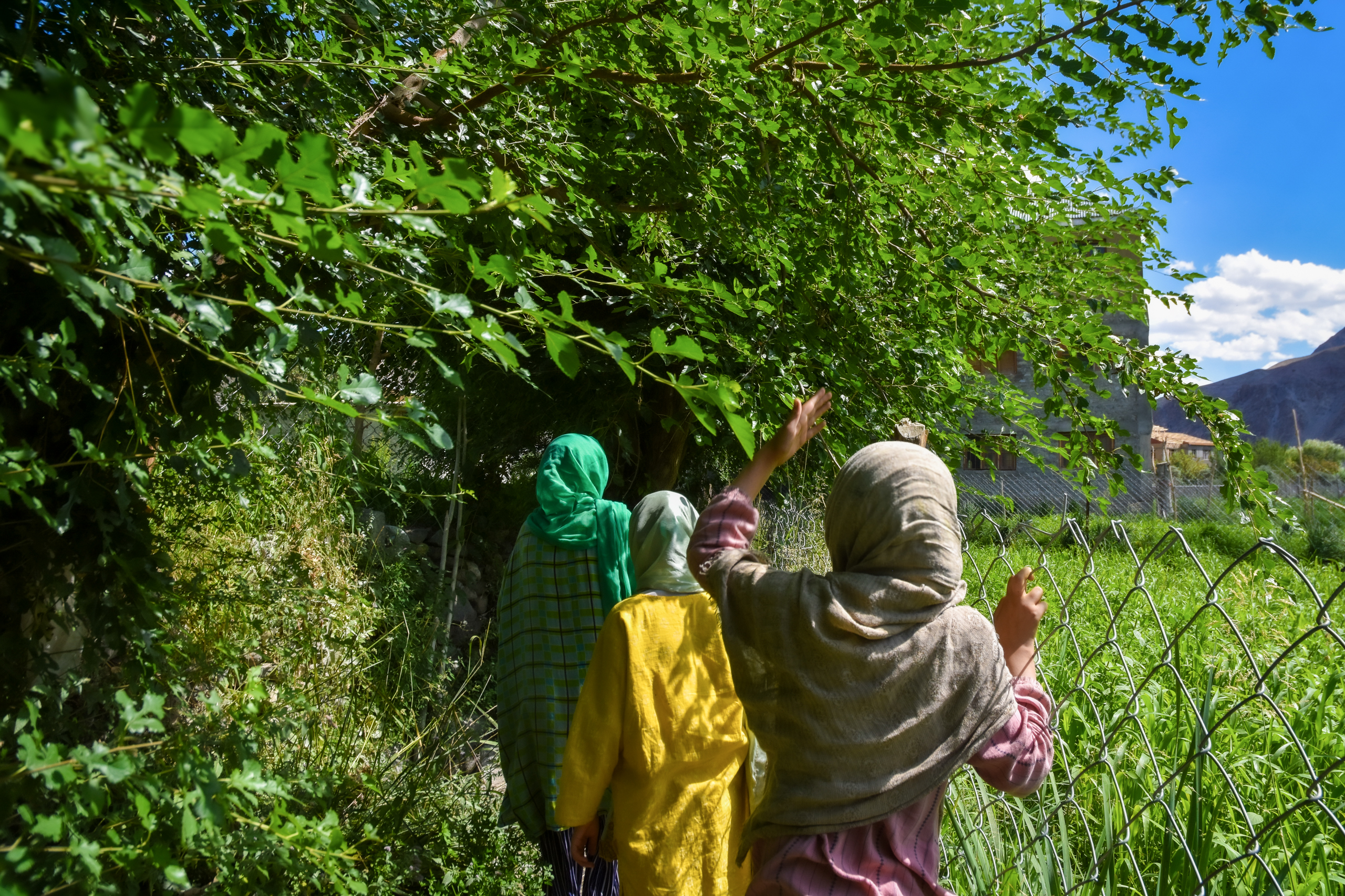 three girls walking between fence and trees
